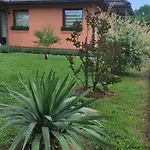 شقة A&e Zivinice