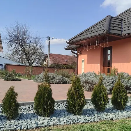 Apartment A&e Zivinice